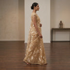 Noor